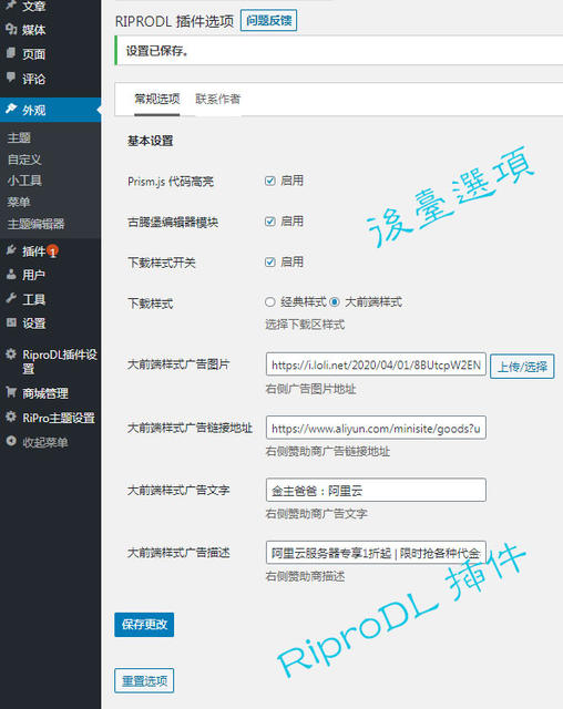 -9 Ripro下载信息美化Riprodl 插件(持续更新吧)
