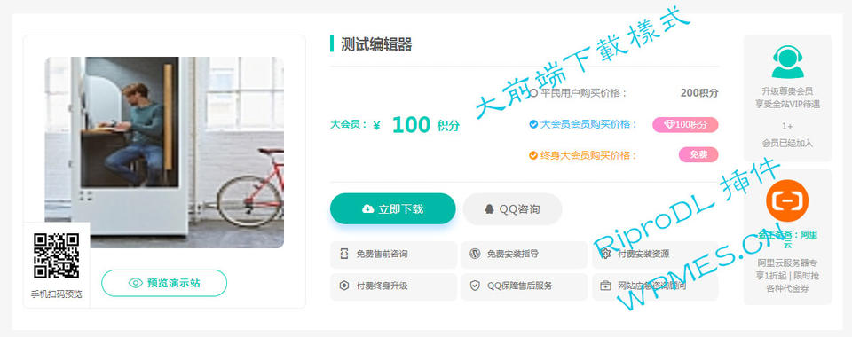 -3 Ripro下载信息美化Riprodl 插件(持续更新吧)