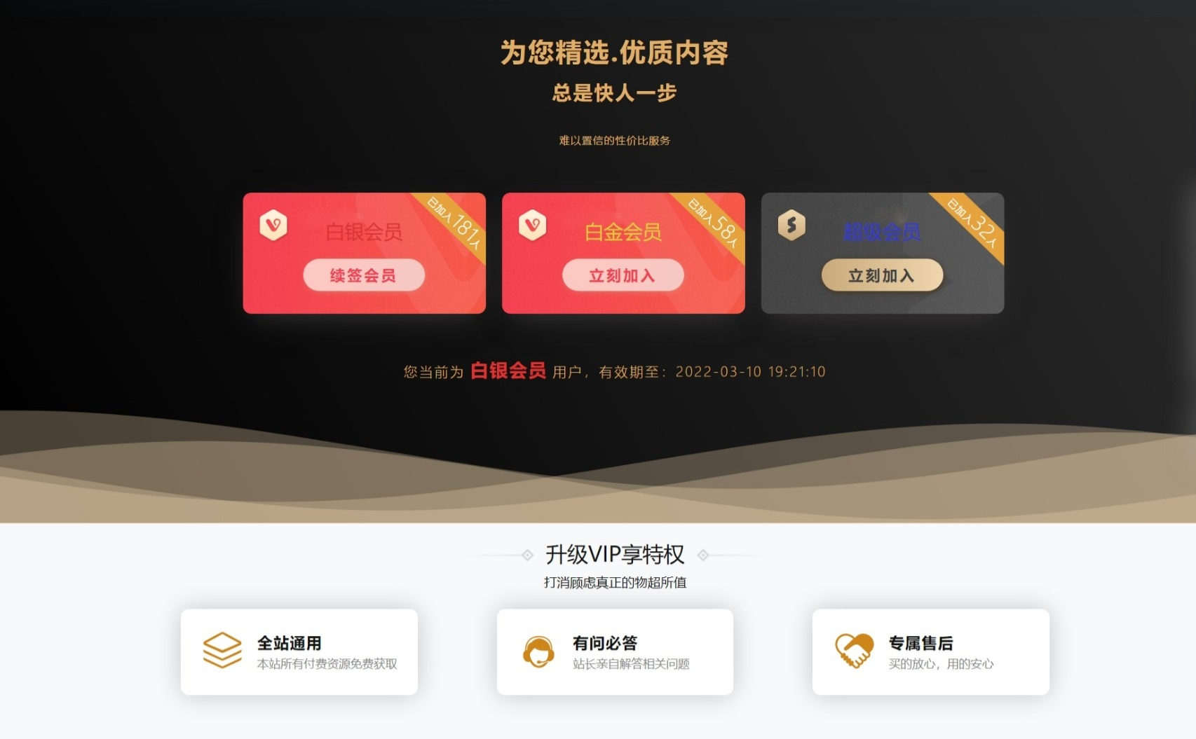 b2美化之大气的VIP会员页面